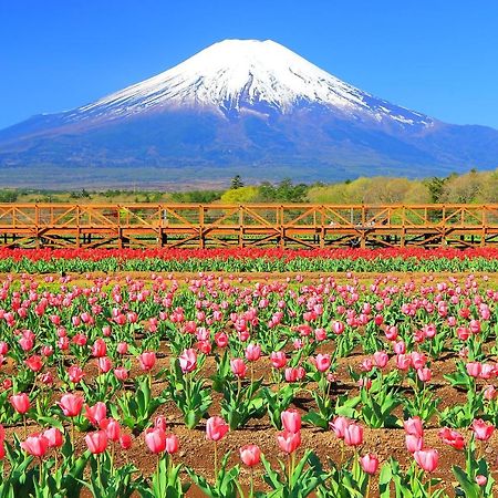 Hatago Sakuraya Yamanakako Ngoại thất bức ảnh